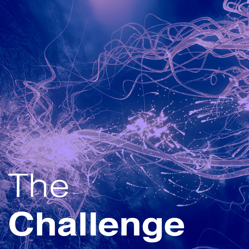 The challenge